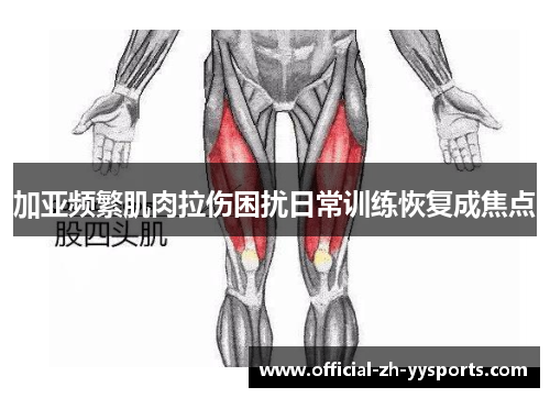 加亚频繁肌肉拉伤困扰日常训练恢复成焦点 加亚频繁肌肉拉伤困扰日常训练恢复成焦点